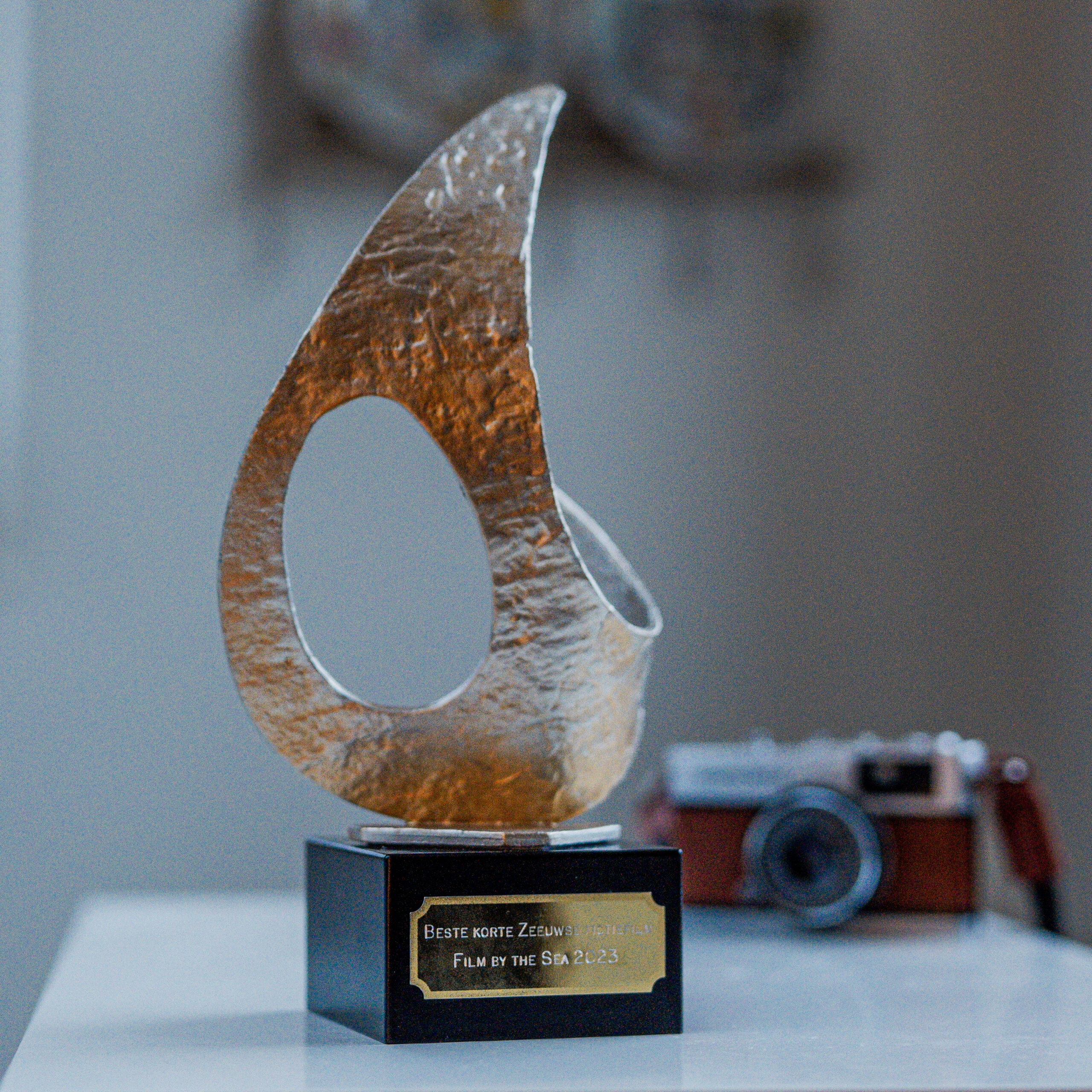 FilmbytheSea-Award-2-2